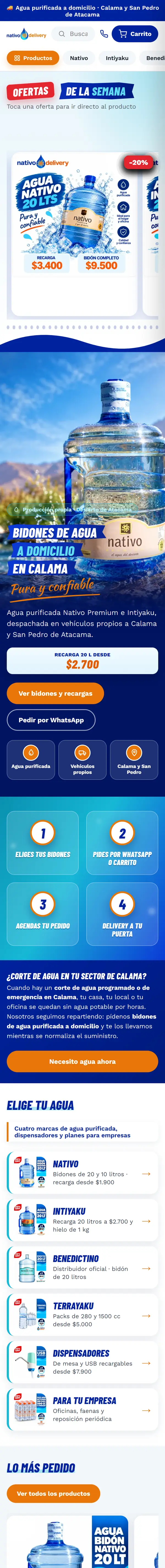 Captura de la web de Nativo Delivery en celular